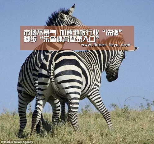 乐鱼体育登录入口