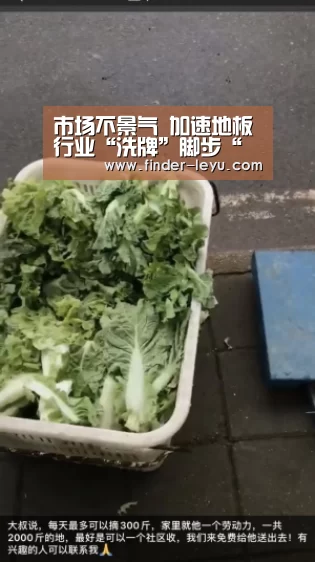 注册
