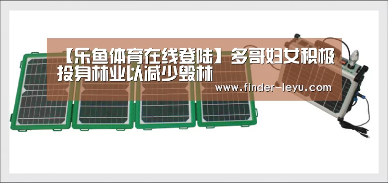 乐鱼体育登录入口