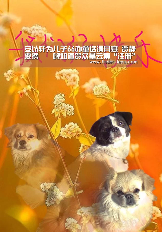 安以轩为儿子66办童话满月宴 贾静雯携咘咘啵妞道贺众星云集“注册”(图1) 安以轩为儿子66办童话满月宴 贾静雯携咘咘啵妞道贺众星云集“注册”(图1)