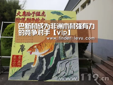 巴新材成为非洲木材强有力的竞争对手【vip】(图1)